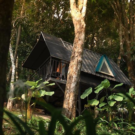 Garden Of Eden-Thottam Munnar-Hiking And Camping Anachal Zewnętrze zdjęcie