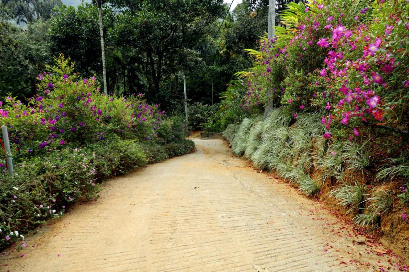 Garden Of Eden-Thottam Munnar-Hiking And Camping Anachal Zewnętrze zdjęcie