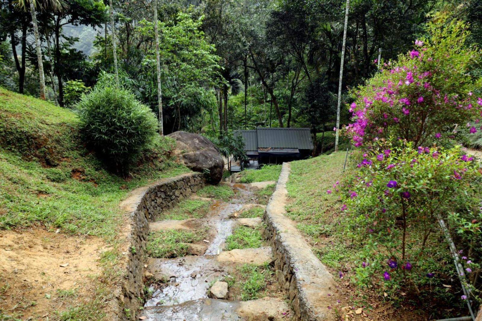 Garden Of Eden-Thottam Munnar-Hiking And Camping Anachal Zewnętrze zdjęcie