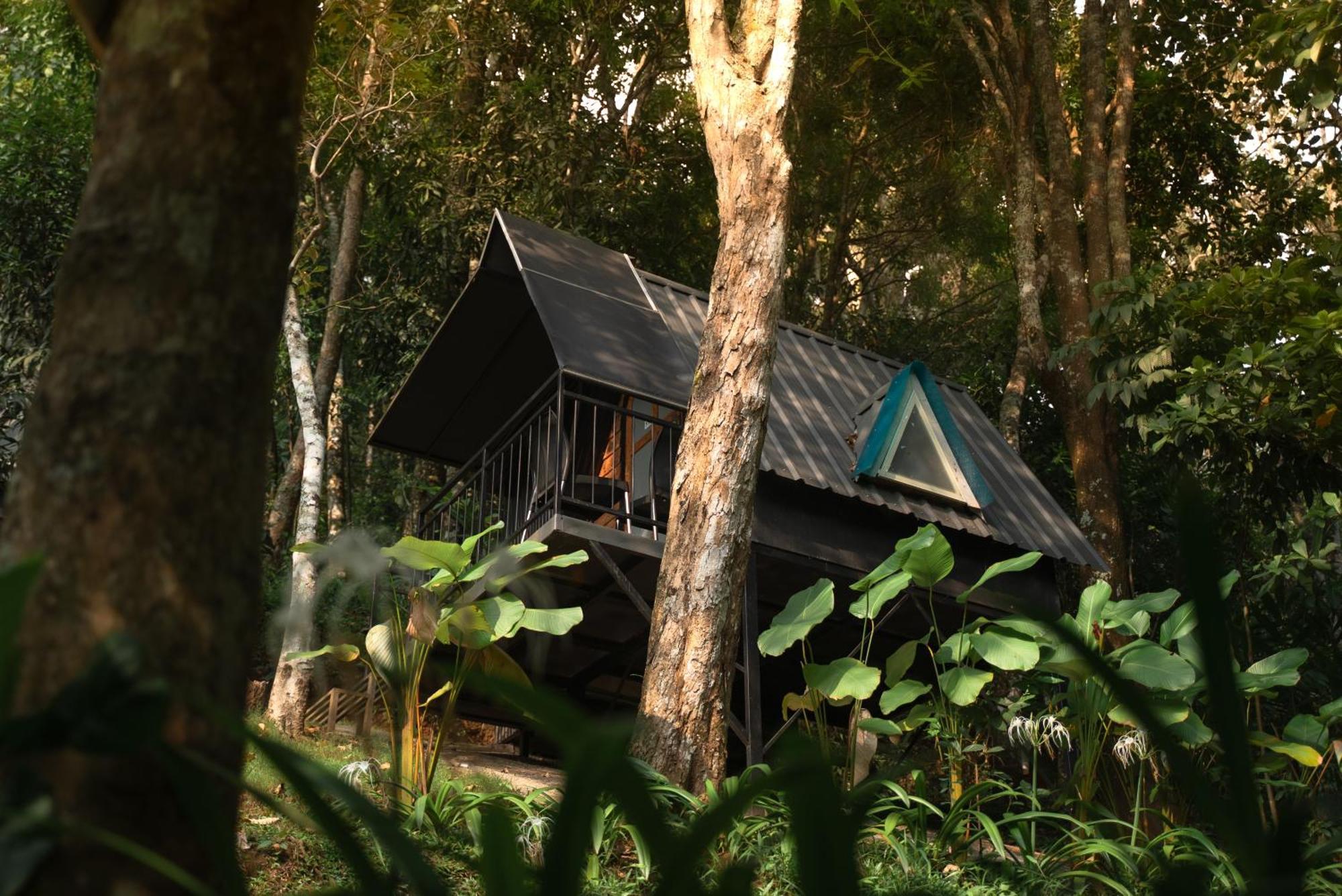 Garden Of Eden-Thottam Munnar-Hiking And Camping Anachal Zewnętrze zdjęcie