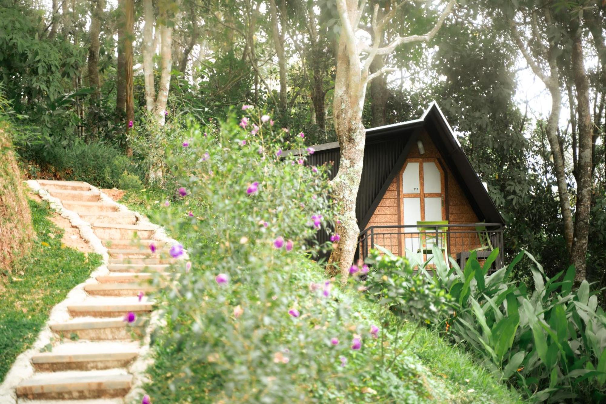 Garden Of Eden-Thottam Munnar-Hiking And Camping Anachal Zewnętrze zdjęcie