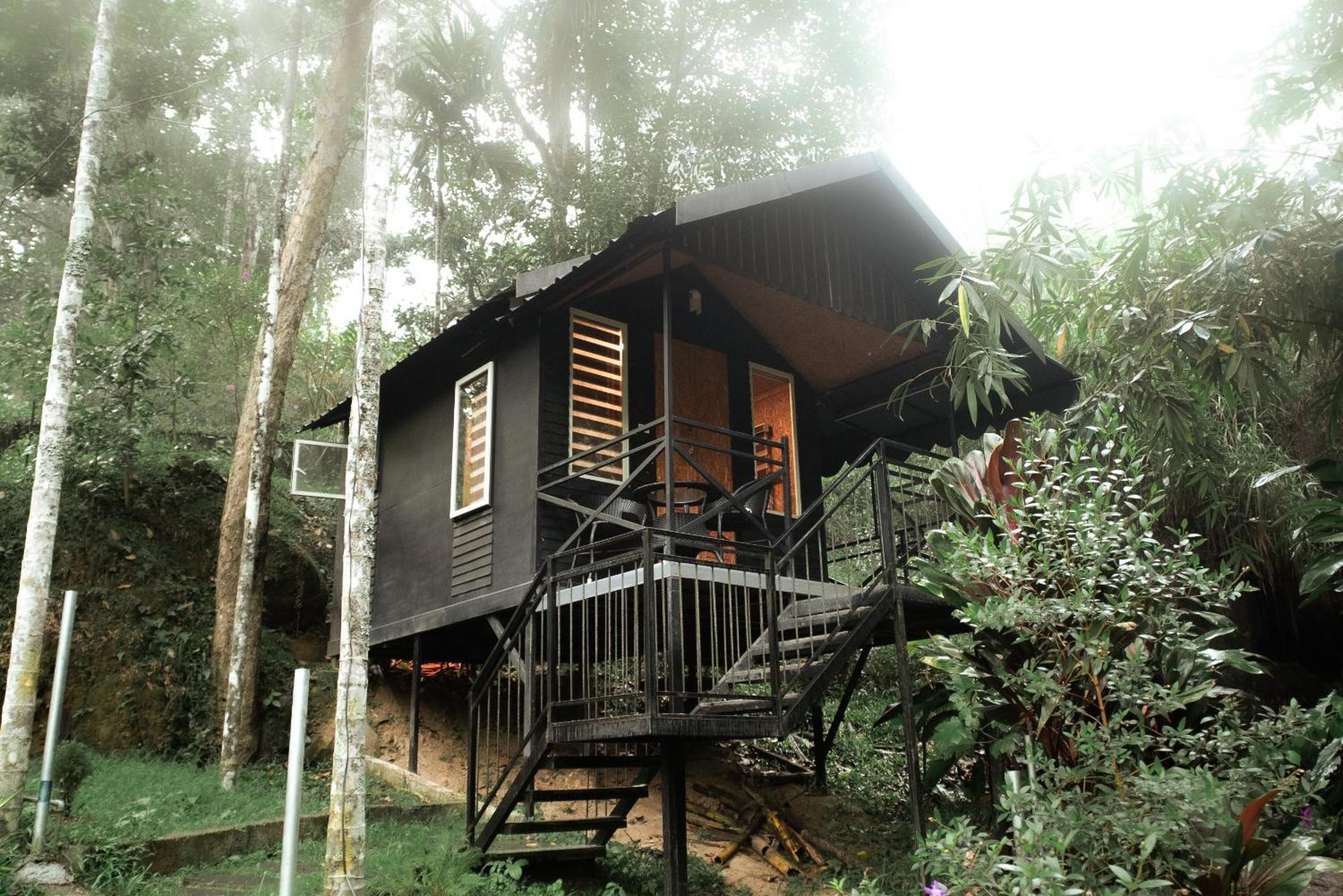 Garden Of Eden-Thottam Munnar-Hiking And Camping Anachal Zewnętrze zdjęcie